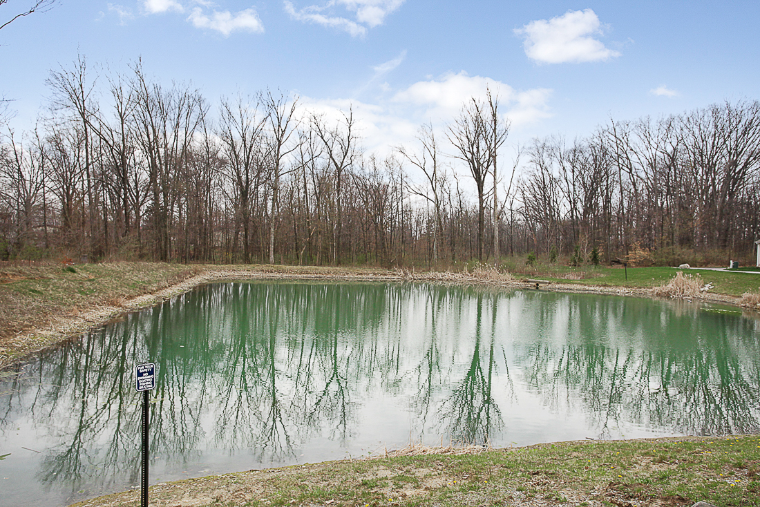 145 Feathertip Lane -44