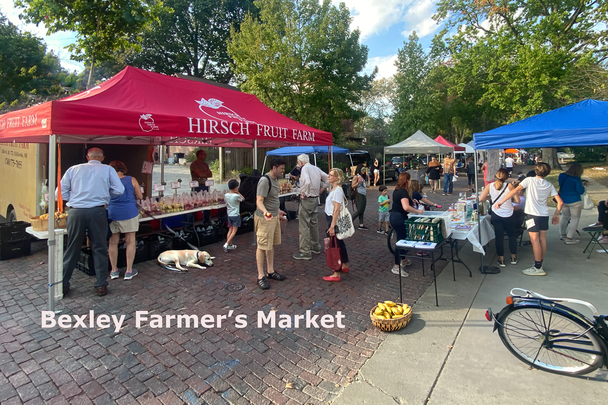 284 S Stanwood Rd-73