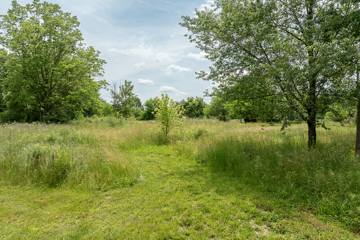3761 Fry Rd-3