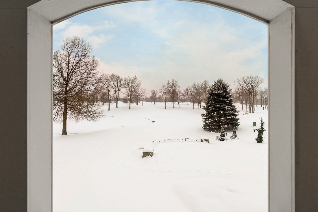 4445 Tavistock Circle-64