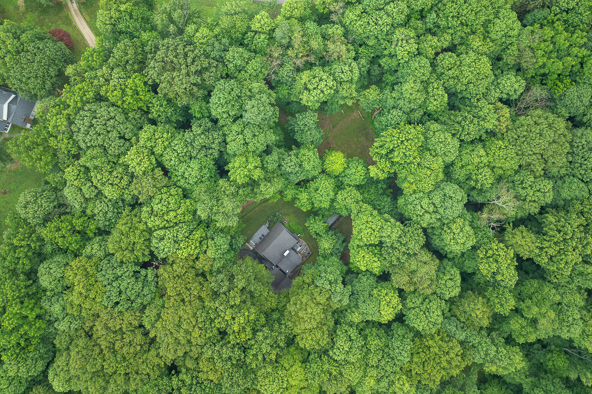 446 Llanberis Dr-10